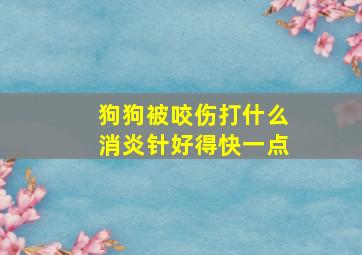 狗狗被咬伤打什么消炎针好得快一点