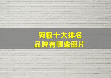 狗粮十大排名品牌有哪些图片