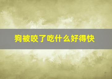 狗被咬了吃什么好得快