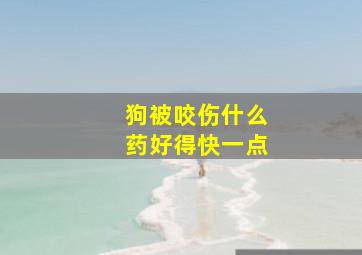 狗被咬伤什么药好得快一点