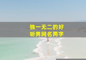 独一无二的好听男网名两字