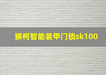 狮柯智能装甲门锁sk100