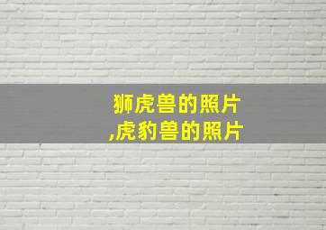 狮虎兽的照片,虎豹兽的照片