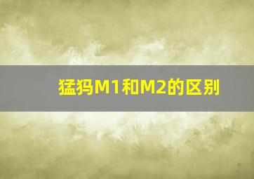 猛犸M1和M2的区别