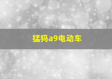 猛犸a9电动车