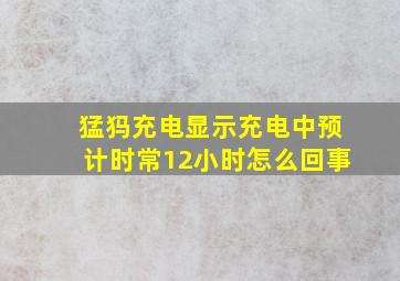 猛犸充电显示充电中预计时常12小时怎么回事