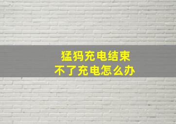 猛犸充电结束不了充电怎么办