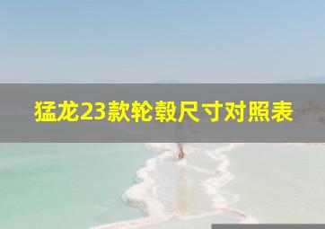 猛龙23款轮毂尺寸对照表