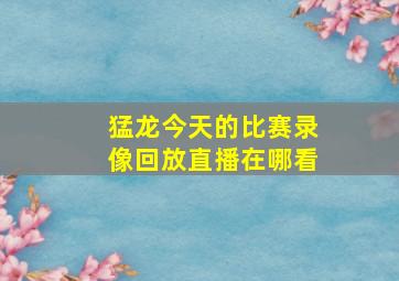 猛龙今天的比赛录像回放直播在哪看