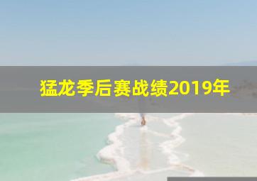 猛龙季后赛战绩2019年