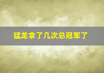 猛龙拿了几次总冠军了