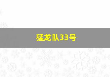 猛龙队33号