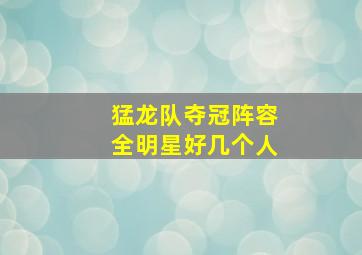 猛龙队夺冠阵容全明星好几个人