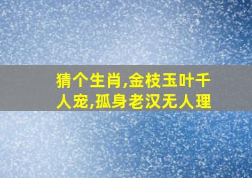 猜个生肖,金枝玉叶千人宠,孤身老汉无人理