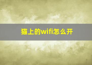 猫上的wifi怎么开