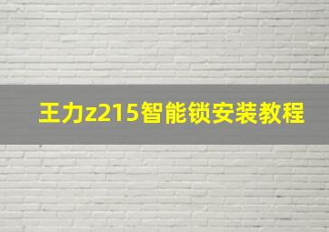 王力z215智能锁安装教程