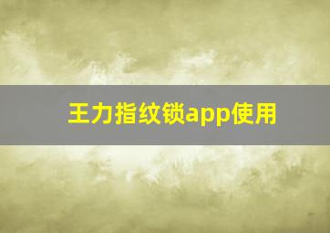 王力指纹锁app使用