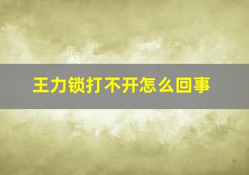 王力锁打不开怎么回事