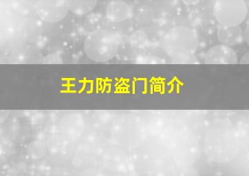 王力防盗门简介