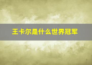 王卡尔是什么世界冠军