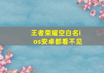 王者荣耀空白名ios安卓都看不见