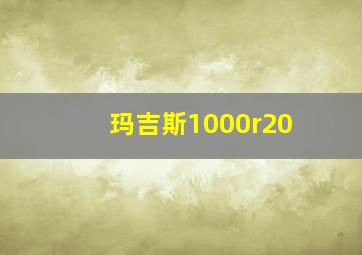 玛吉斯1000r20