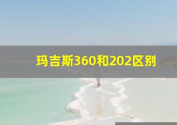 玛吉斯360和202区别