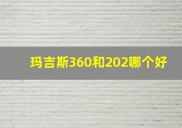 玛吉斯360和202哪个好