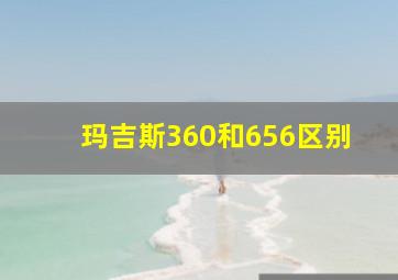 玛吉斯360和656区别