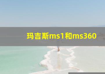 玛吉斯ms1和ms360