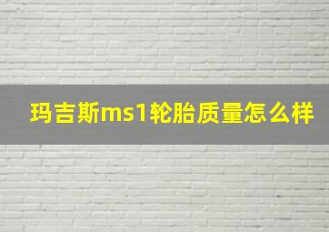 玛吉斯ms1轮胎质量怎么样