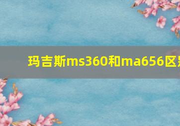 玛吉斯ms360和ma656区别