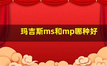 玛吉斯ms和mp哪种好