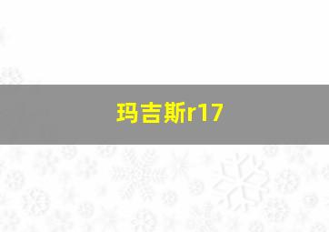 玛吉斯r17