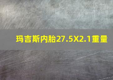 玛吉斯内胎27.5X2.1重量