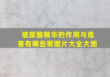 玻尿酸精华的作用与危害有哪些呢图片大全大图