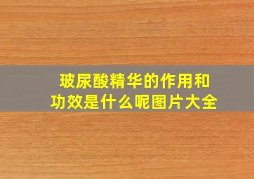 玻尿酸精华的作用和功效是什么呢图片大全