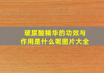 玻尿酸精华的功效与作用是什么呢图片大全