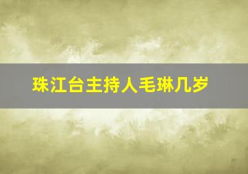 珠江台主持人毛琳几岁