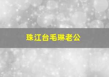 珠江台毛琳老公