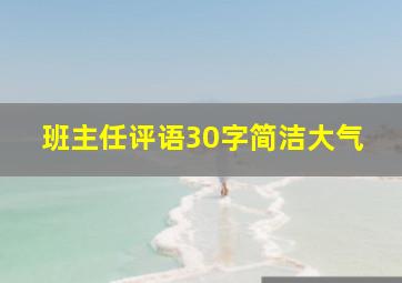 班主任评语30字简洁大气