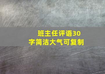 班主任评语30字简洁大气可复制