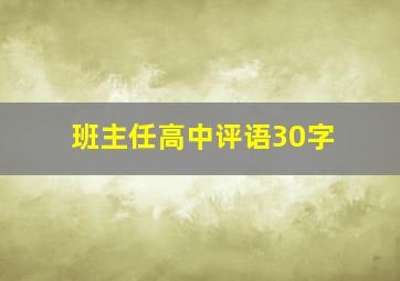 班主任高中评语30字