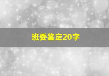 班委鉴定20字