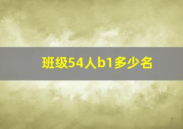 班级54人b1多少名