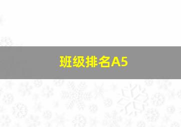 班级排名A5