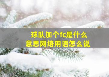 球队加个fc是什么意思网络用语怎么说