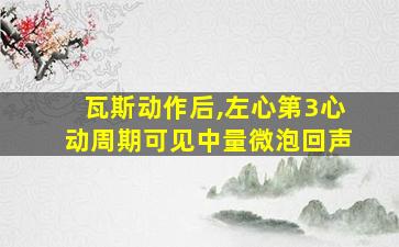 瓦斯动作后,左心第3心动周期可见中量微泡回声