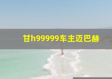 甘h99999车主迈巴赫