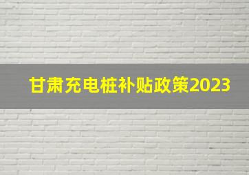 甘肃充电桩补贴政策2023